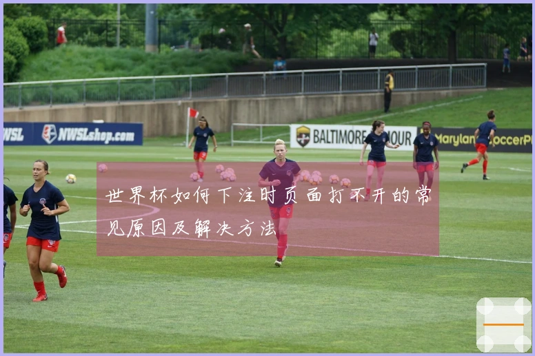 世界杯如何下注时页面打不开的常见原因及解决方法