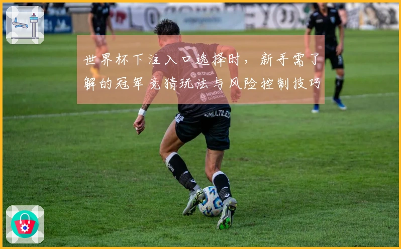 世界杯下注入口选择时，新手需了解的冠军竞猜玩法与风险控制技巧