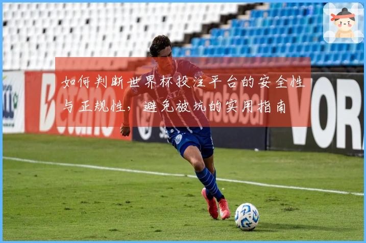 如何判断世界杯投注平台的安全性与正规性，避免被坑的实用指南