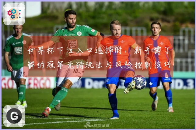 世界杯下注入口选择时，新手需了解的冠军竞猜玩法与风险控制技巧