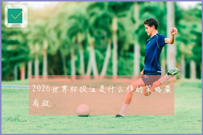 2026世界杯投注是什么样的策略最有效