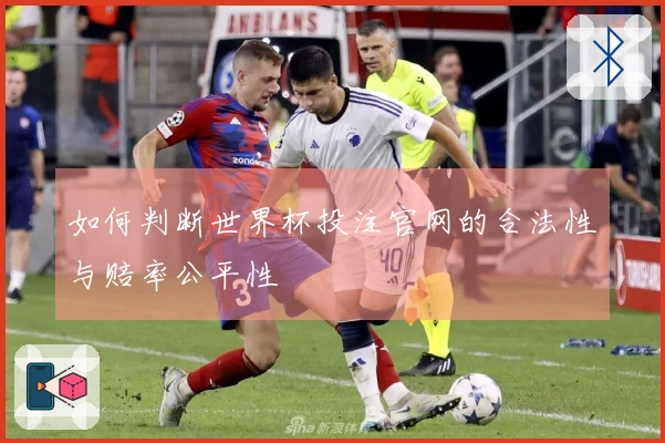 如何判断世界杯投注官网的合法性与赔率公平性