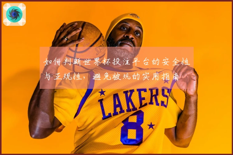 如何判断世界杯投注平台的安全性与正规性，避免被坑的实用指南