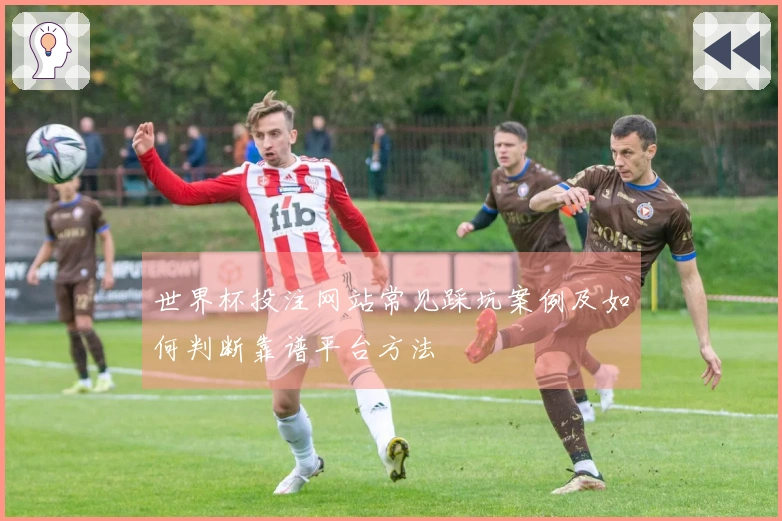 世界杯投注网站常见踩坑案例及如何判断靠谱平台方法