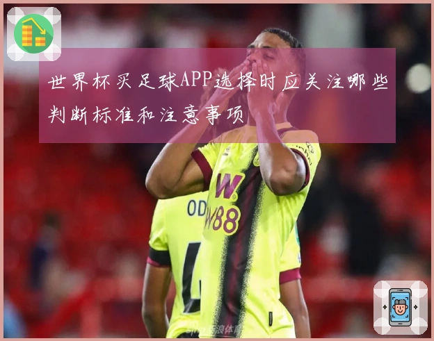 世界杯买足球APP选择时应关注哪些判断标准和注意事项