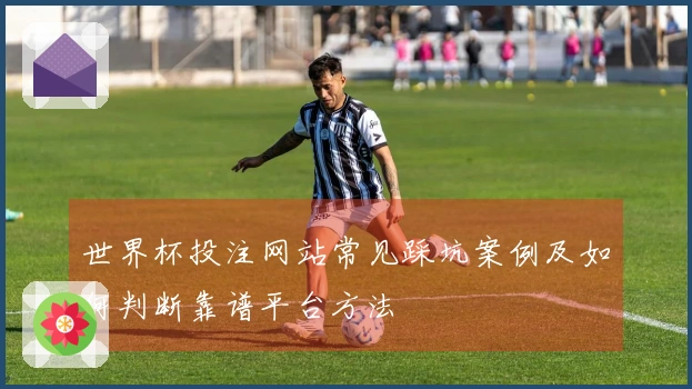 世界杯投注网站常见踩坑案例及如何判断靠谱平台方法